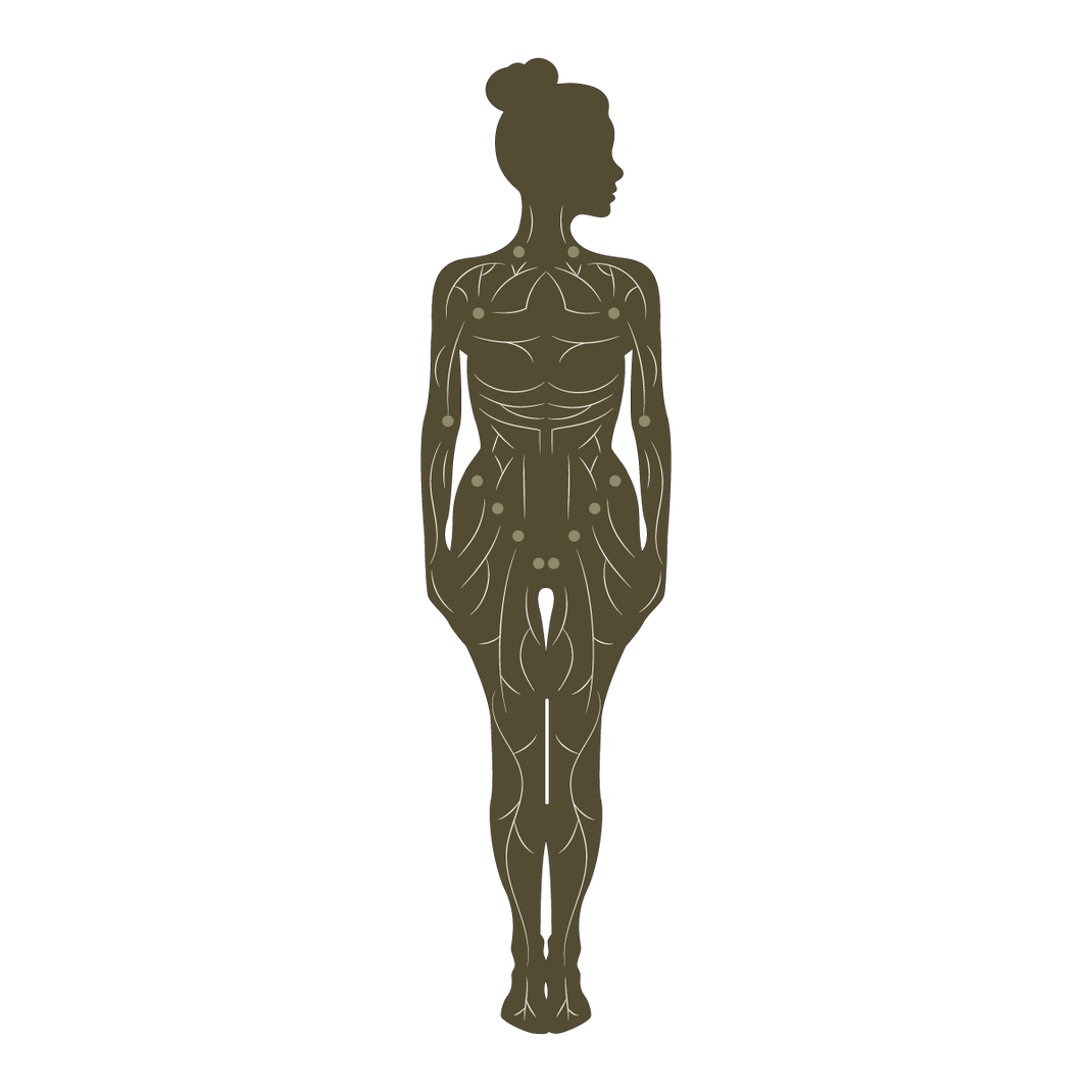 The Lymphatic System River Wellness